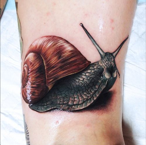Photo of a realisitc snail tattoo
