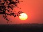 Sunset on Safari