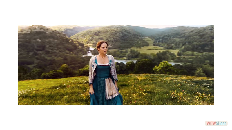 Belle in the field