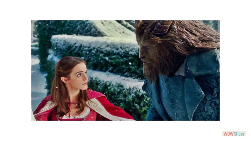 Belle and the Beast