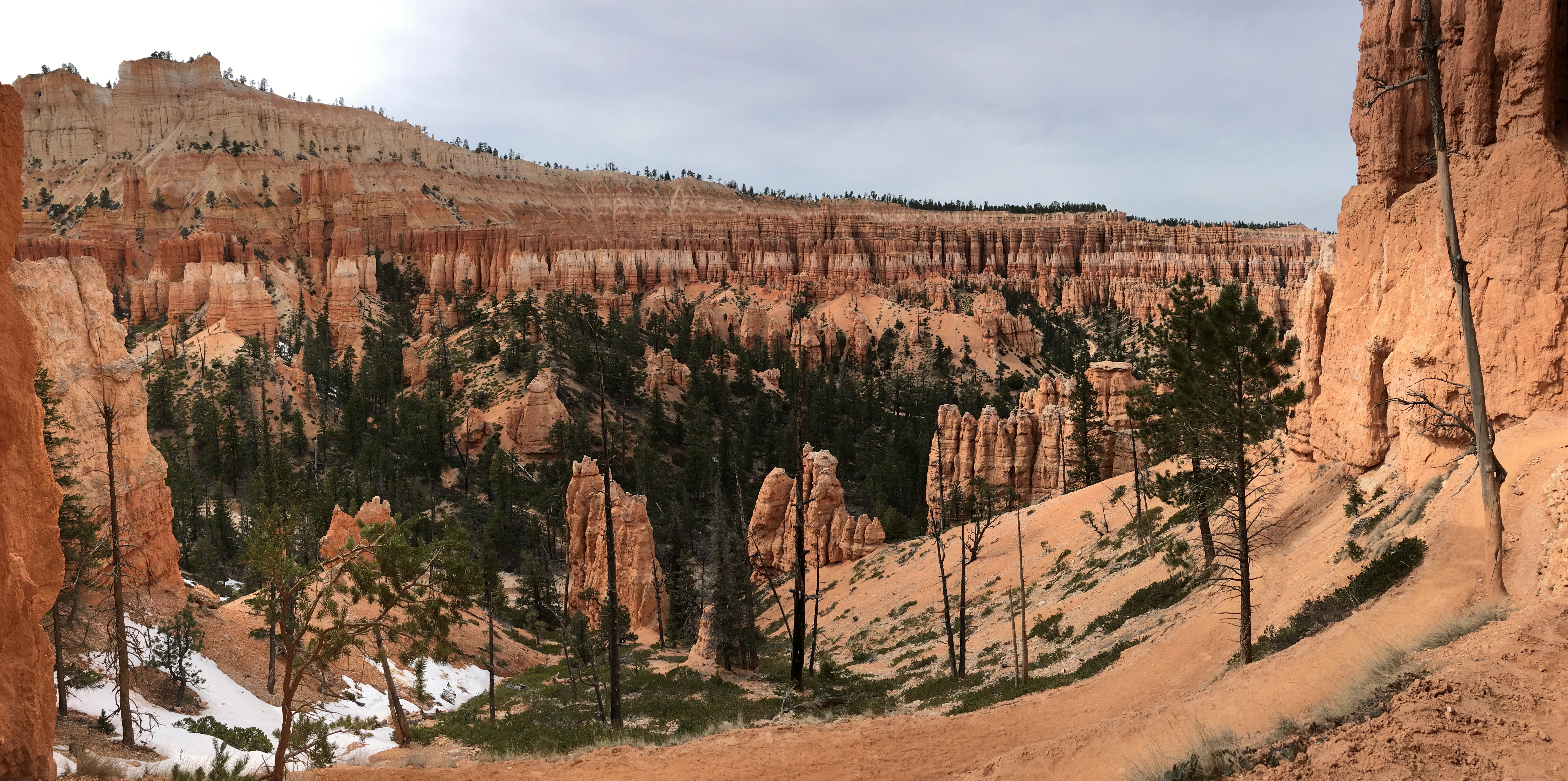 bryce canyon view