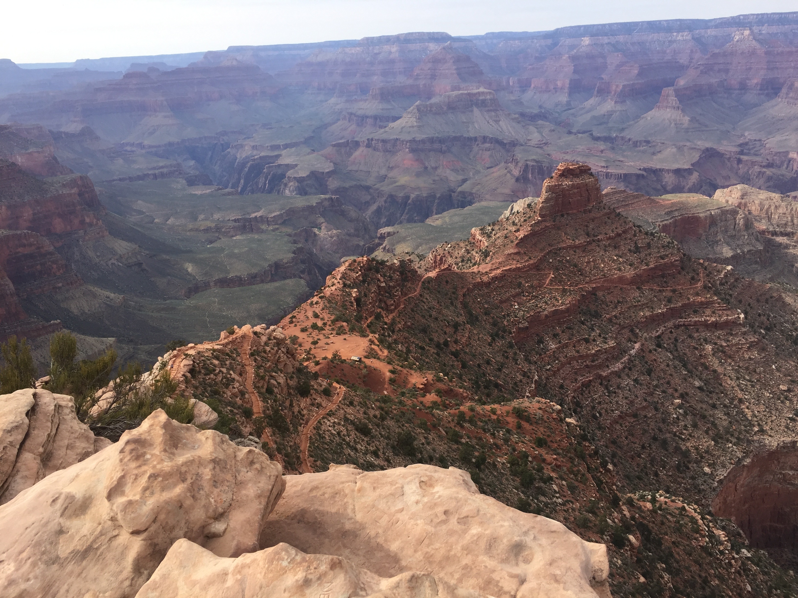 grand canyon view