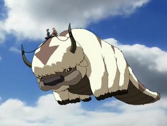 A picture of Appa