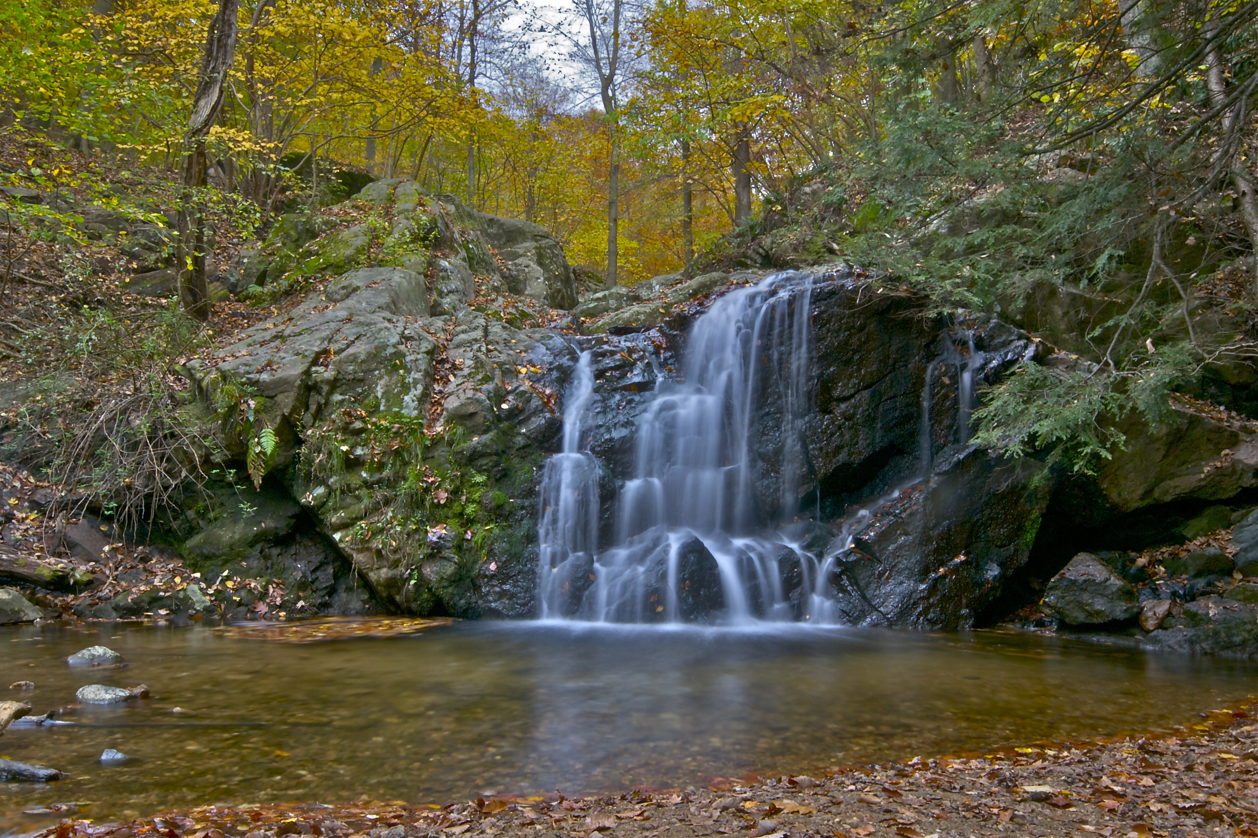 State Park