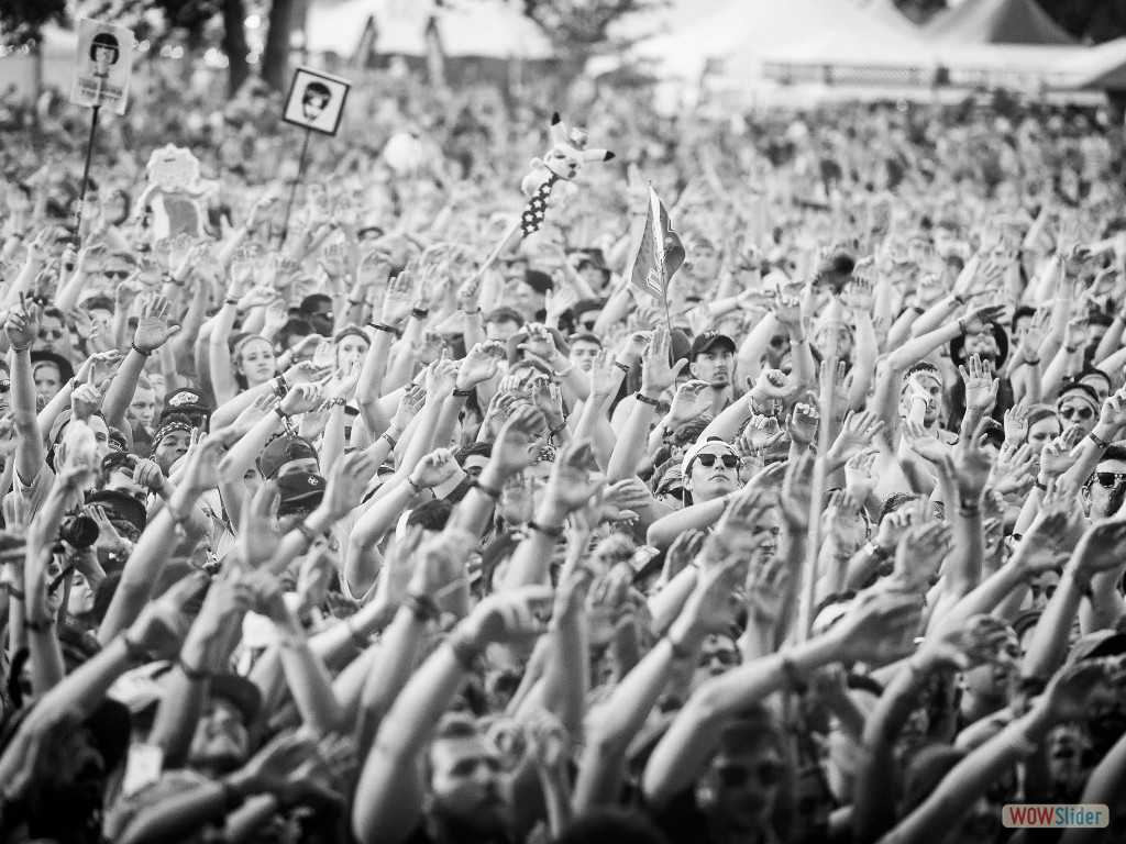 Bonnaroo photo by Adam Macchia