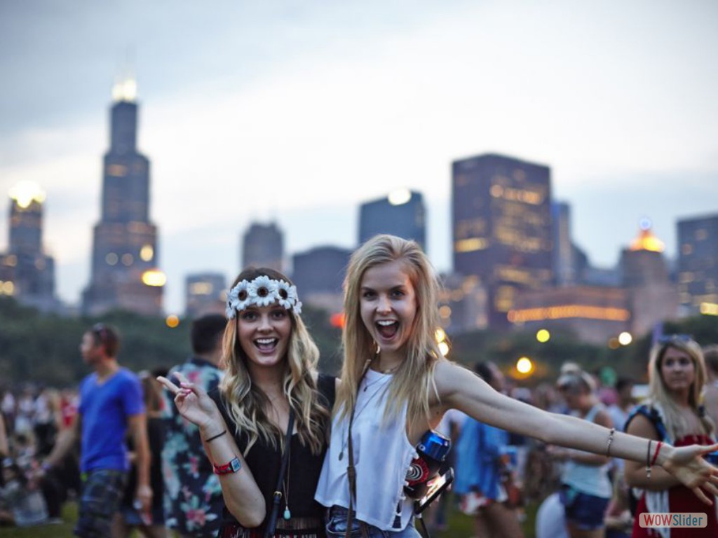 Lollapalooza by Travas Machal