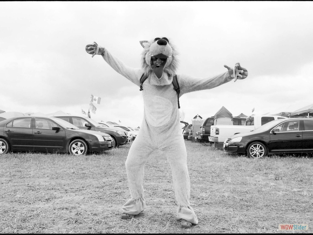 Bonnaroo photo by Ryan Mastro