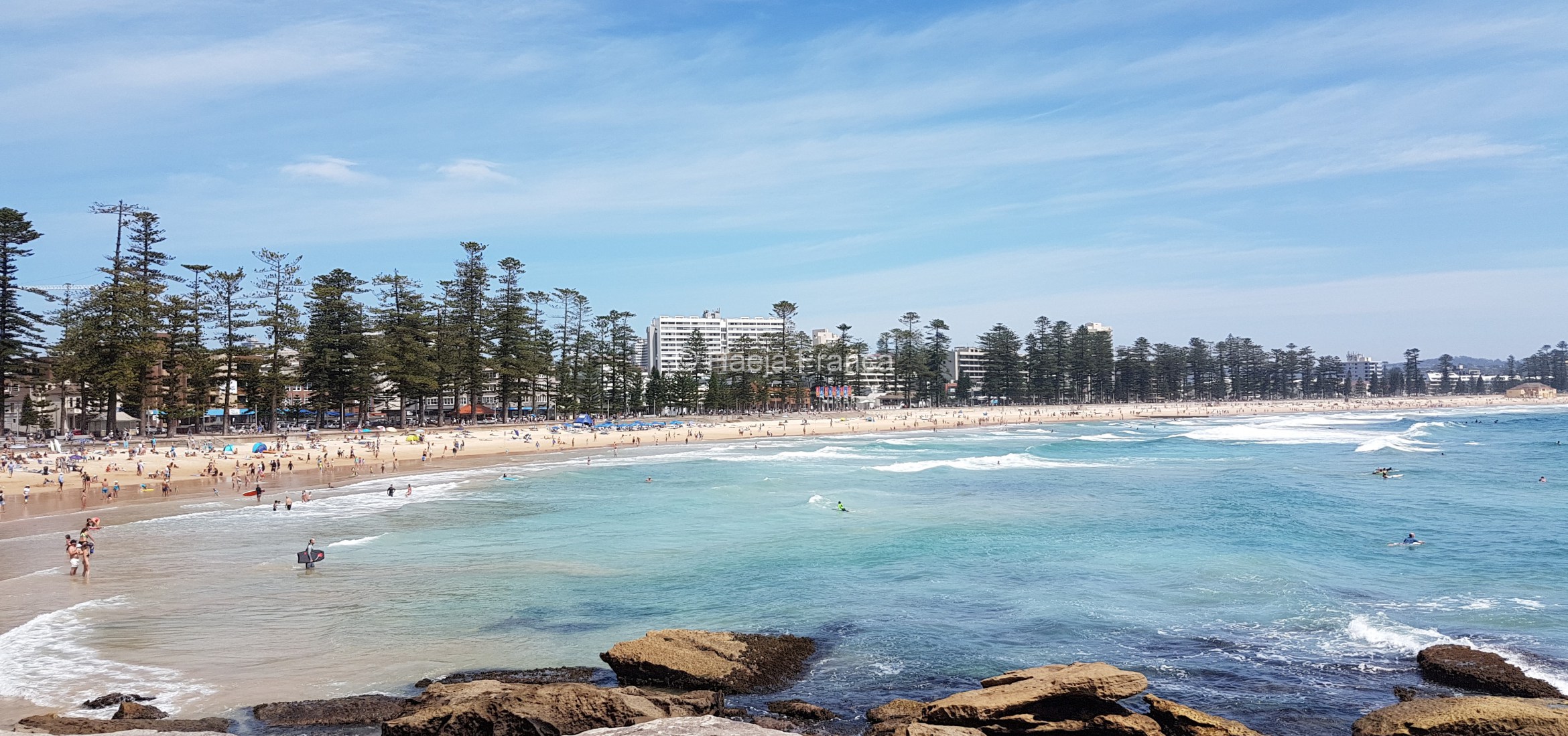 Picture of Manly Beach